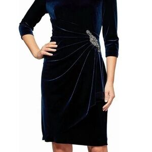 Alex Evenings Imperial Velvet Dress with Embellishment